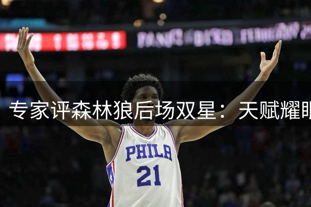 专家评森林狼后场双星：天赋耀眼但需克服伤病隐患