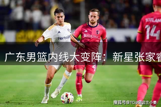 广东男篮内线大变阵：新星张家睿接棒王少杰扛重任