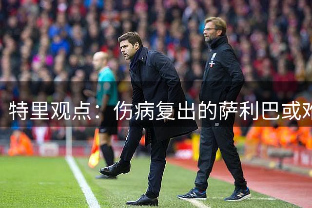 特里观点：伤病复出的萨利巴或难取代孔萨主力席位
